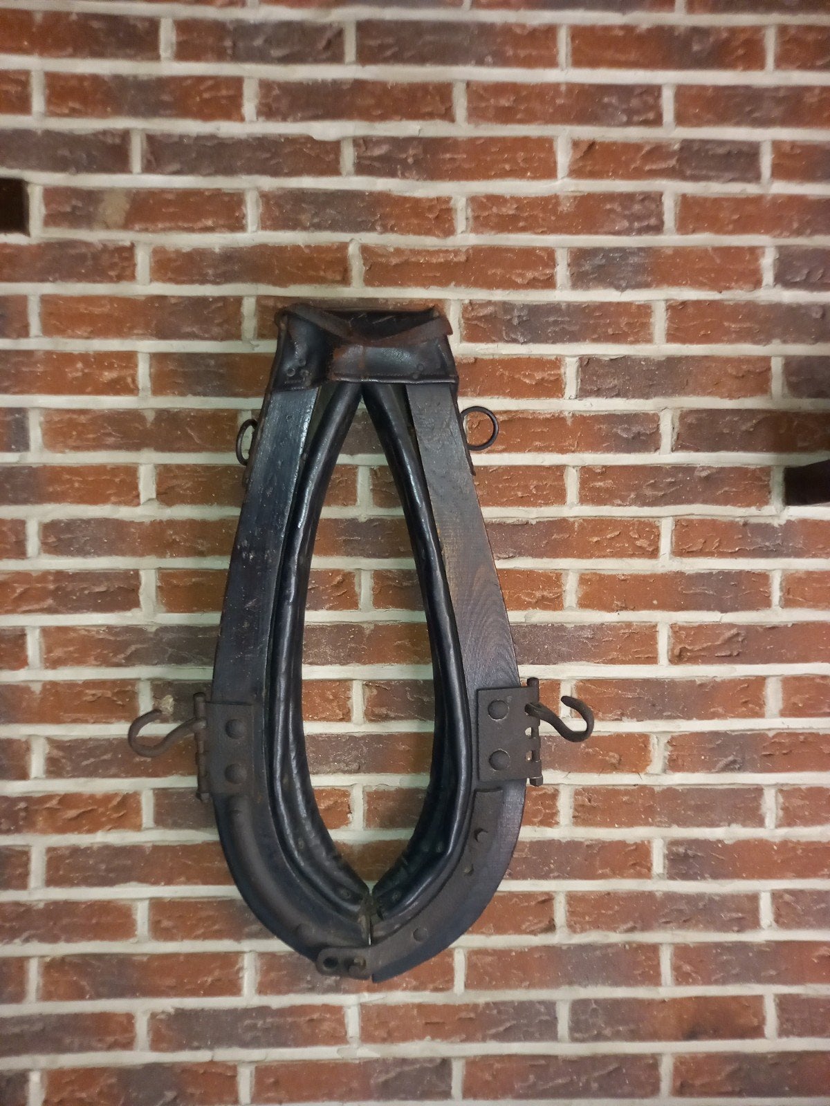 Paarden, Ophalen of Verzenden