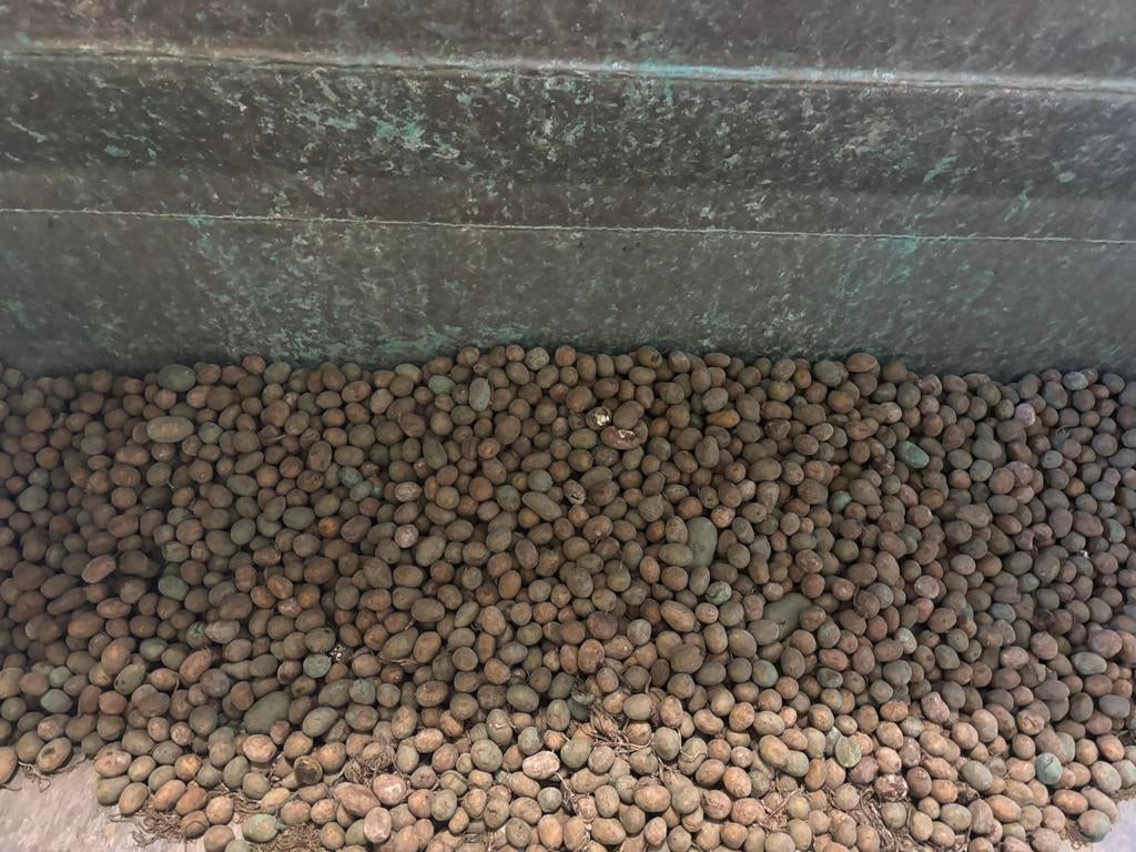Pootgoed markies 100kg 28/35, Enlèvement