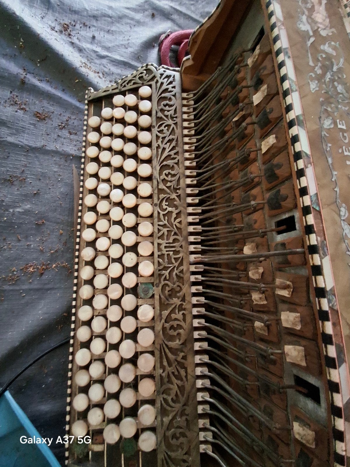Antieke accordion, Enlèvement ou Envoi
