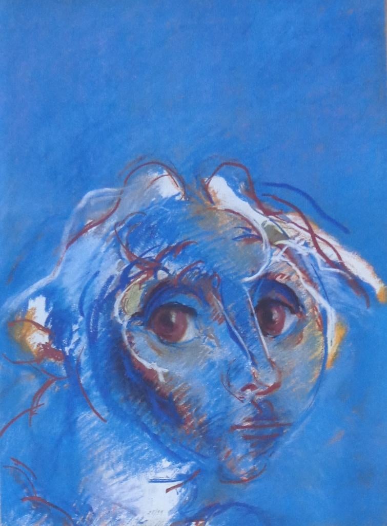 ROGER SOMVILLE / HOOFD / KLEURZEEFDRUK / 76x56cm / SIG, Antiek en Kunst, Kunst | Litho's en Zeefdrukken, Ophalen of Verzenden