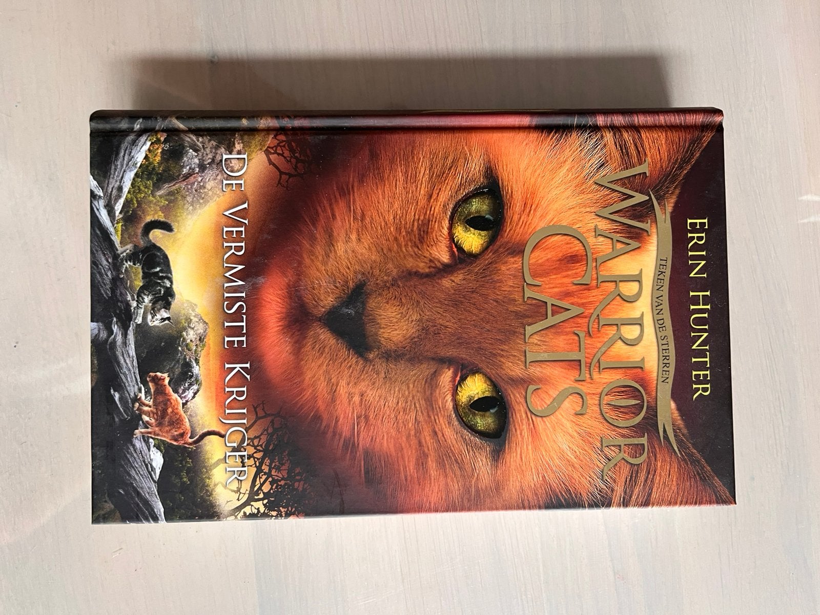 Erin Hunter - La guerrière disparue, Livres, Enlèvement ou Envoi, Erin Hunter