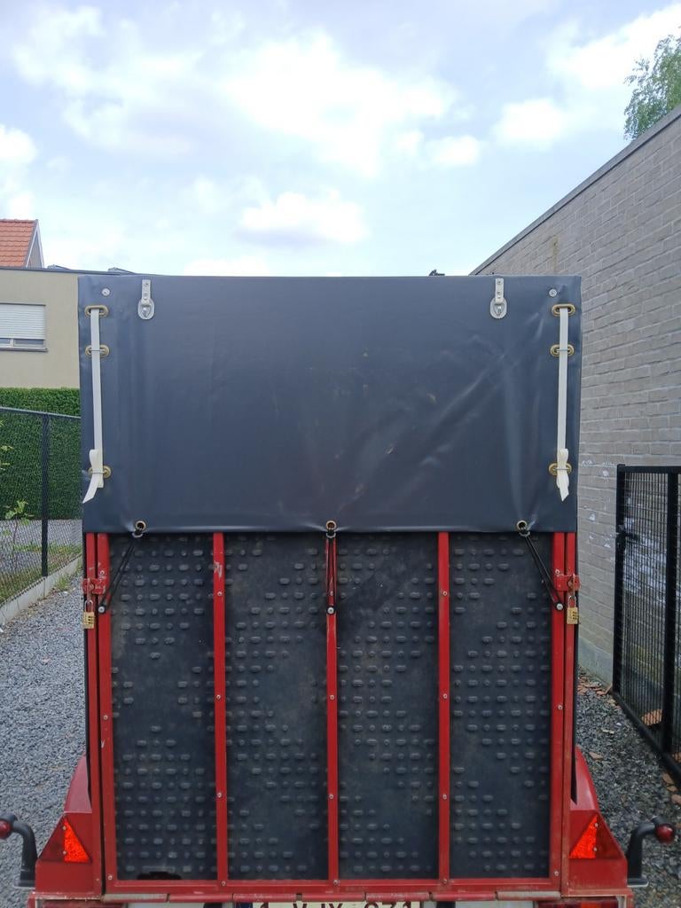 Goede dubbel as, Enlèvement