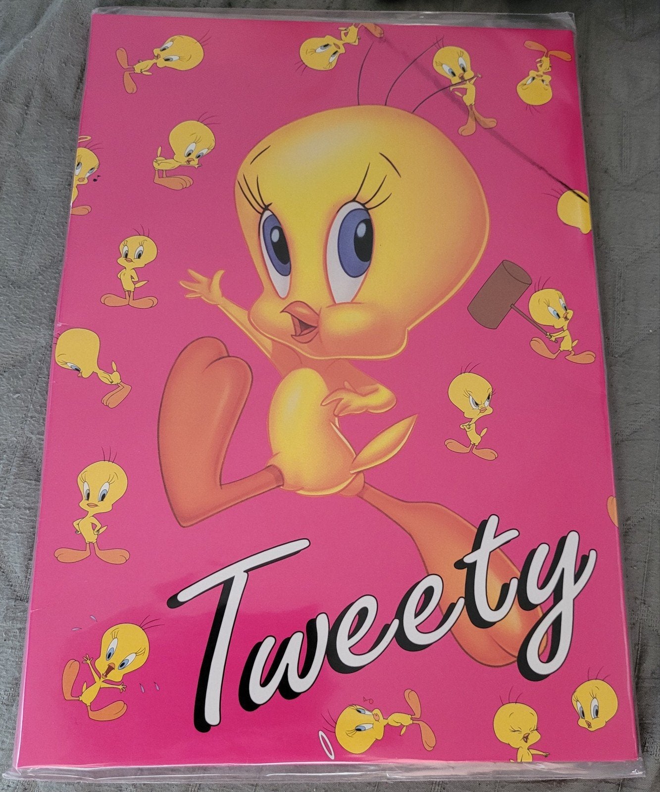 Looney Tunes - Tweety: briefpapier + enveloppen, Collections, Personnages de BD, Enlèvement ou Envoi, Looney Tunes, Neuf, Ustensile