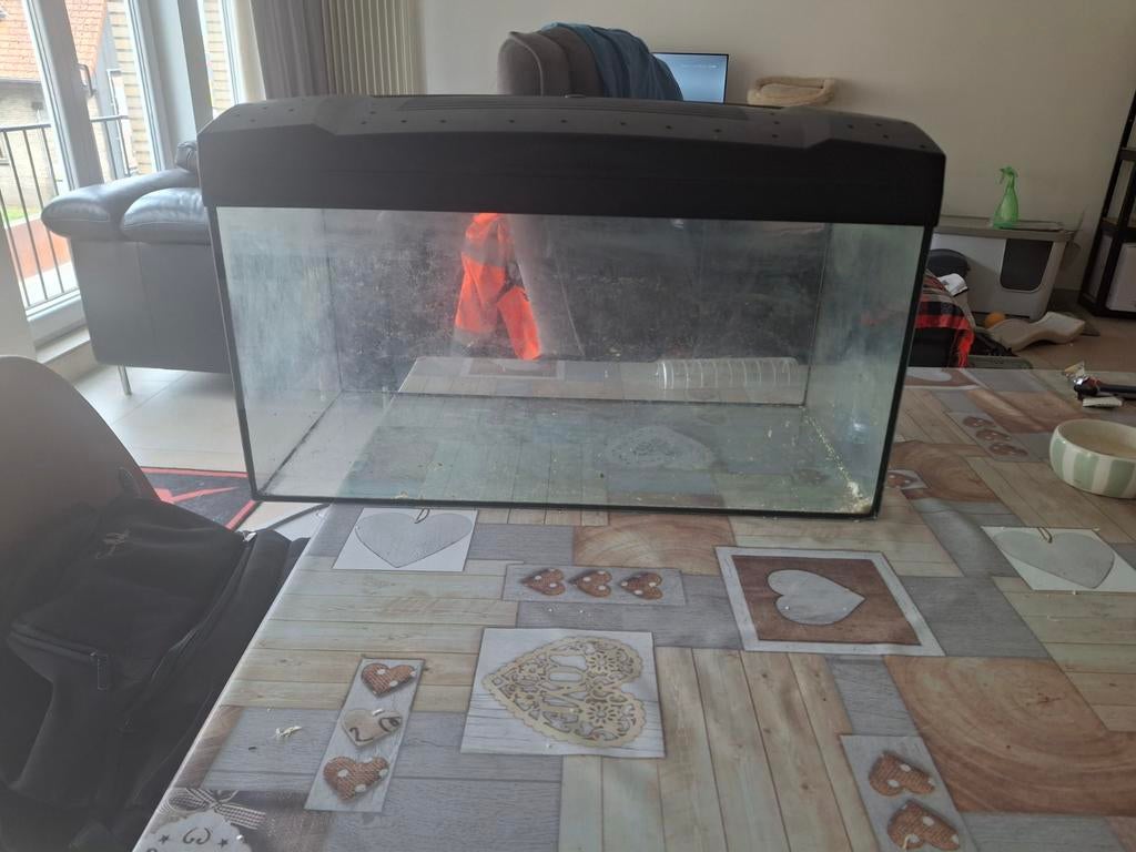 Aquiruim te koop maar kan gebruiken voor knaagdieren, Enlèvement