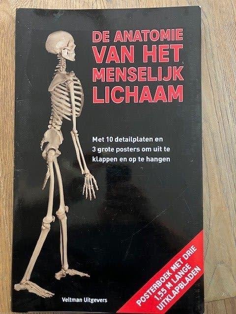 De anatomie van het menselijk lichaam, Enlèvement