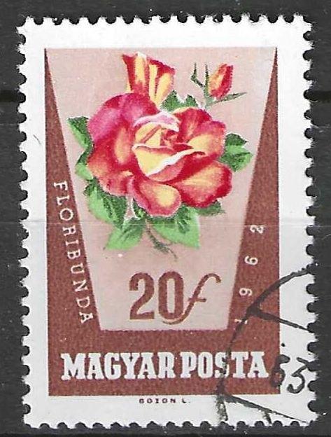 Hongarije 1962 - Yvert 1516 - Rozen - 20 fi. (ST), Postzegels en Munten, Postzegels | Europa | Hongarije, Verzenden, Gestempeld