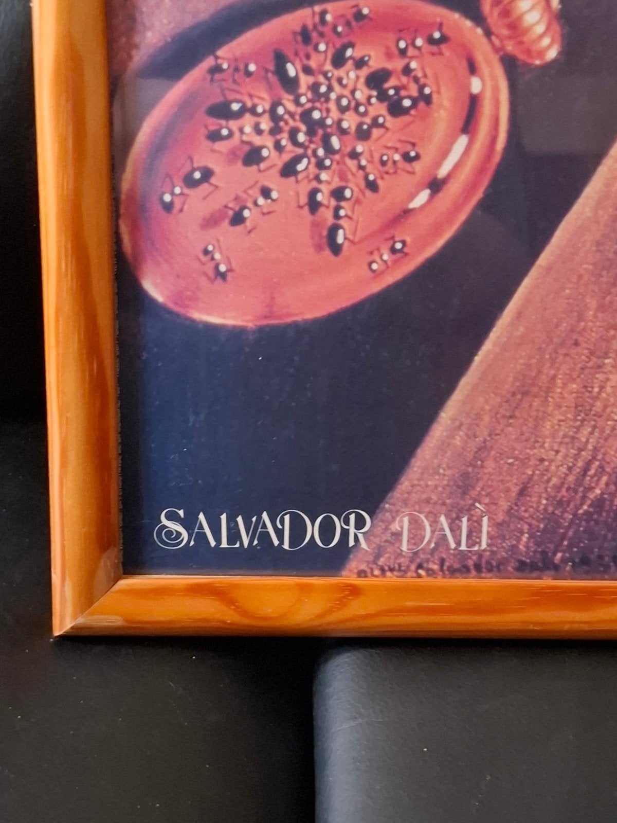 Cadre Salvador Dali

2. Prix demandé, Antiquités & Art, Enlèvement, Reproduction