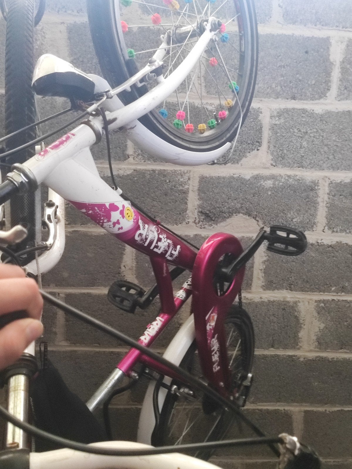 Meisjes fietsen voor kinderen meisjes kinderfietsen, Enlèvement
