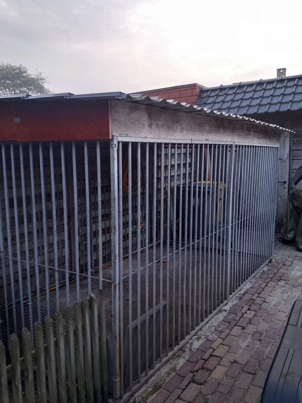 Honden ren, Dieren en Toebehoren, Ophalen