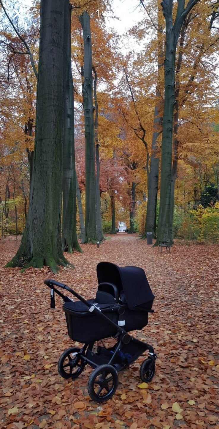 Kinderwagen Bugaboo Fox, Kinderen en Baby's, Kinderwagens en Combinaties, Ophalen, Zo goed als nieuw, Kinderwagen, Bugaboo