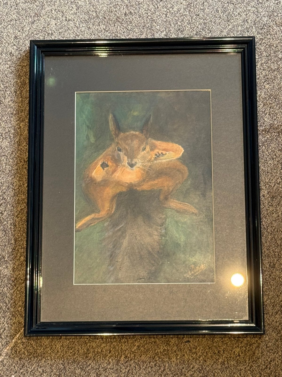 Originele ingelijste tekening van eekhoorn, Ophalen, Tekening, Achter glas