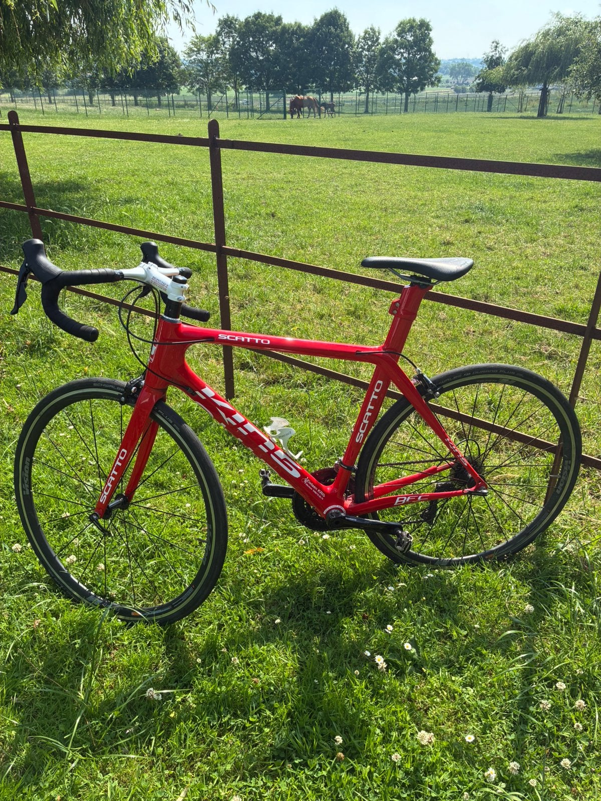 Scatto BFC carbon race fiets, Ophalen, Zo goed als nieuw, Carbon