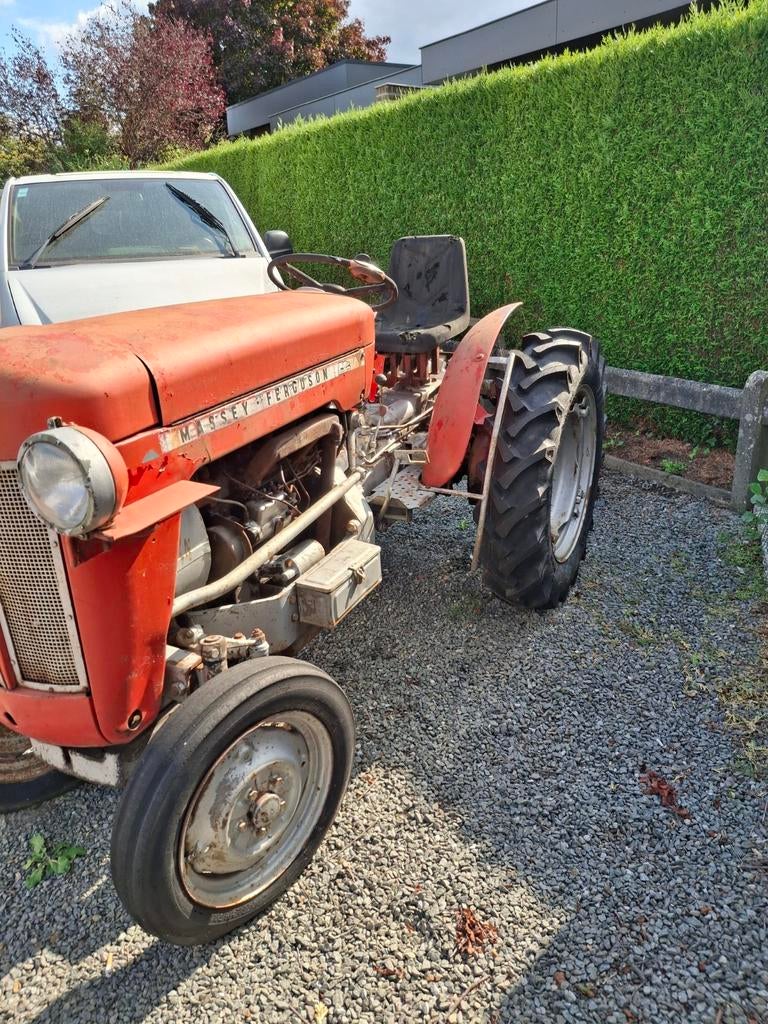 Tractor  massey  ferguson, Zakelijke goederen, Landbouw | Tractoren, Ophalen of Verzenden, Massey Ferguson