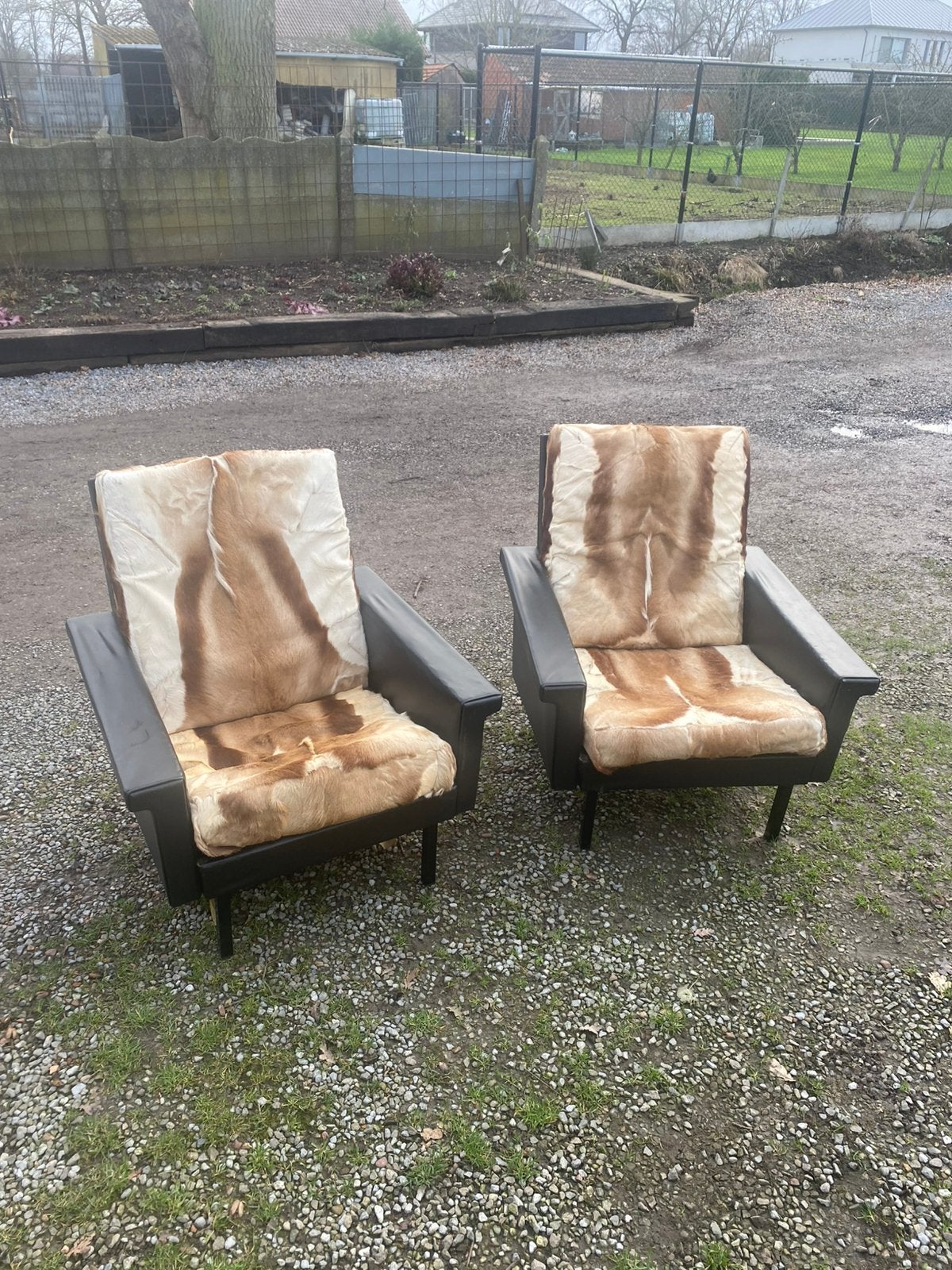 Twee oude kasteel stoelen met reebok huid, Enlèvement, Comme neuf