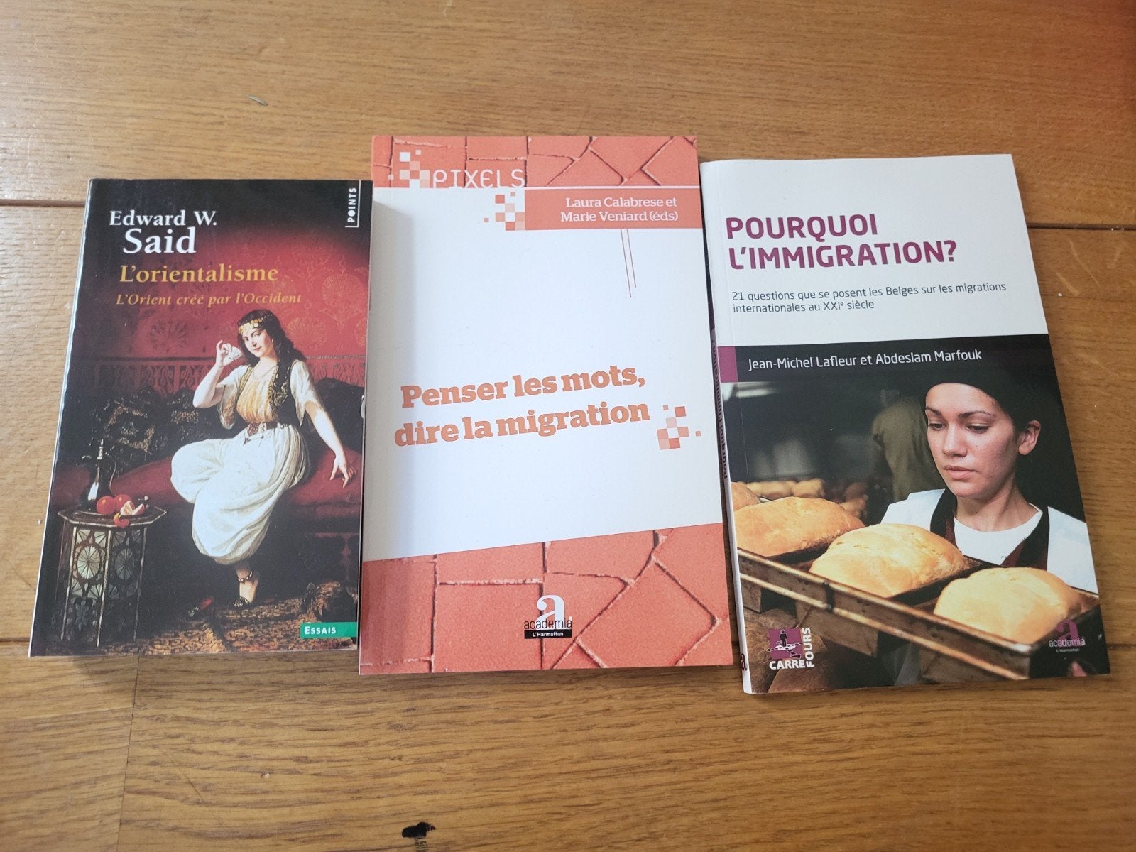 Livres sur la migration, l''immigration et l'orientalisme, Boeken, Chicklit