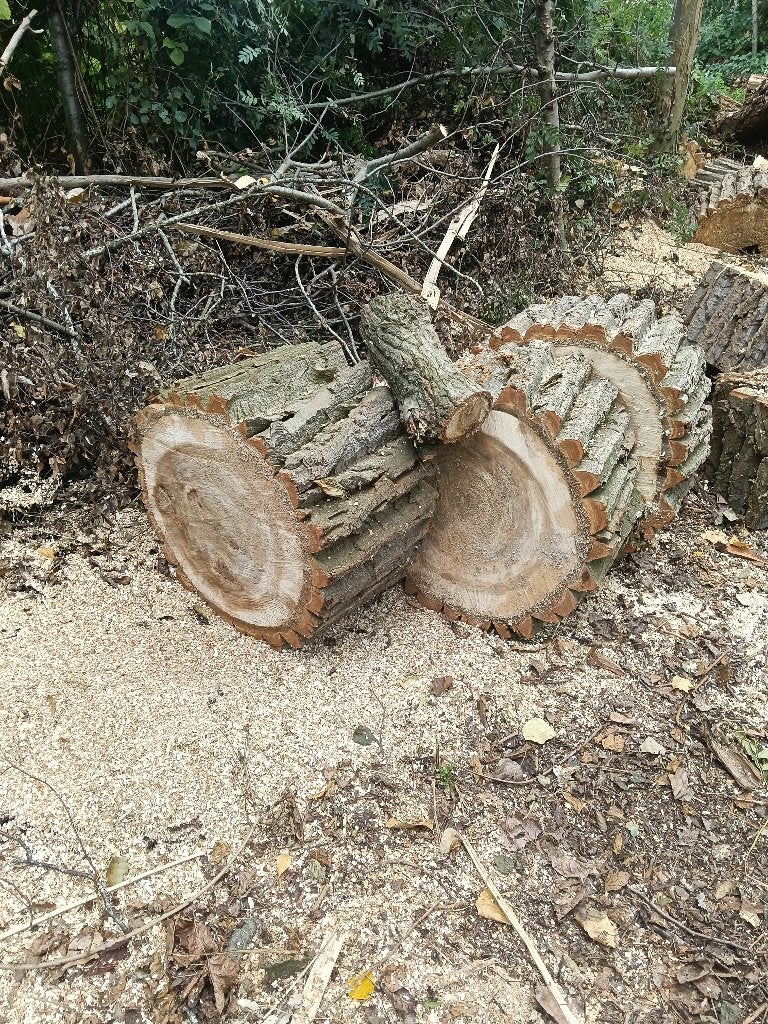 Brandhout, 6 m³ ou plus, Enlèvement ou Envoi, Autres essences de bois, Bûches