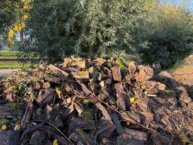 brandhout gratis, Tuin en Terras, 3 tot 6 m³, Ophalen, Beukenhout, Blokken