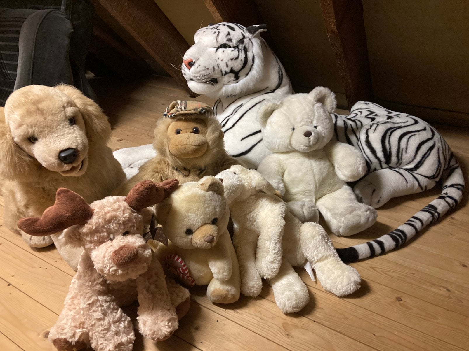 Pluche dieren, Ophalen