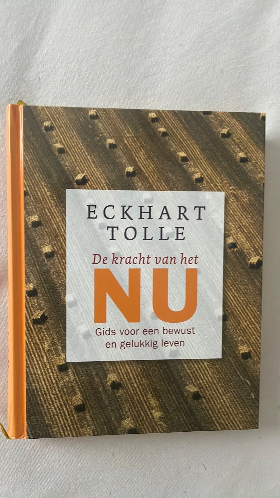 mindsetboeken  (10 euro per boek of 180 totaal), Livres, Enlèvement, Comme neuf