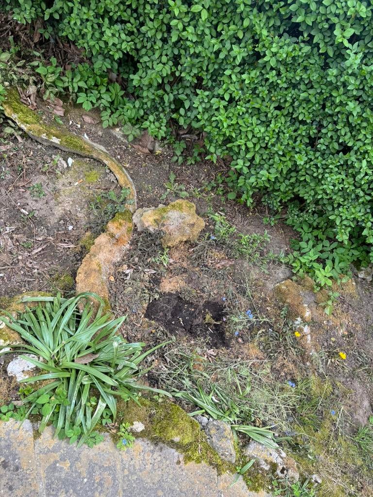 À VENDRE – Petit étang de jardin en pierre, Ophalen