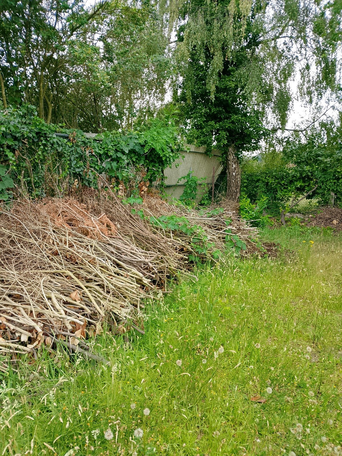 Gratis brandhout + €100 voor jou voor het ophalen., Ophalen