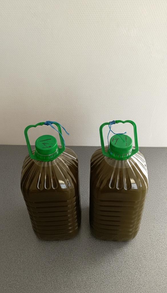 Huile d’olive pure du Rif (Maroc), Enlèvement