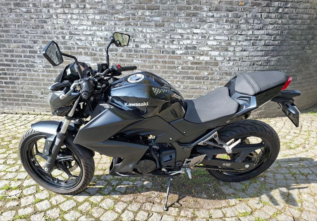 Kawasaki Z300, Motoren, Ophalen