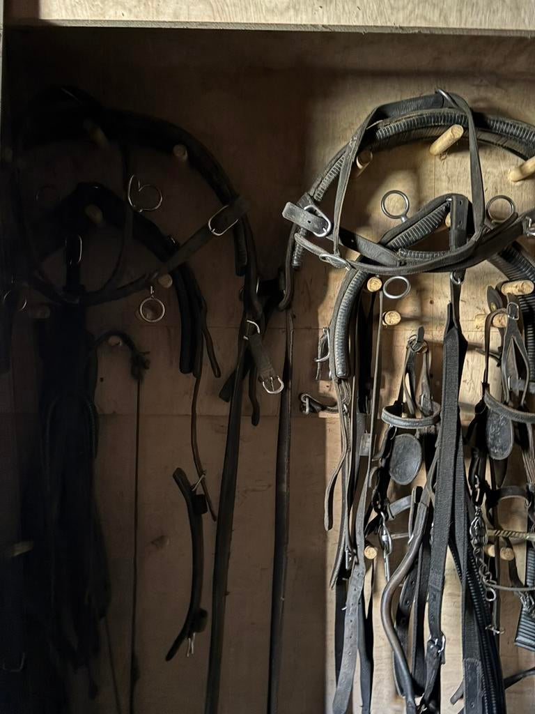 2 span getuig voor pony’s, Dieren en Toebehoren, Ophalen