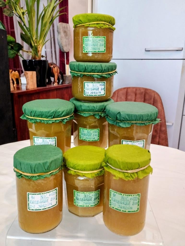 Confiture MAISON ARTISANALE à la RHUBARBE BIO DU JARDIN, Enlèvement