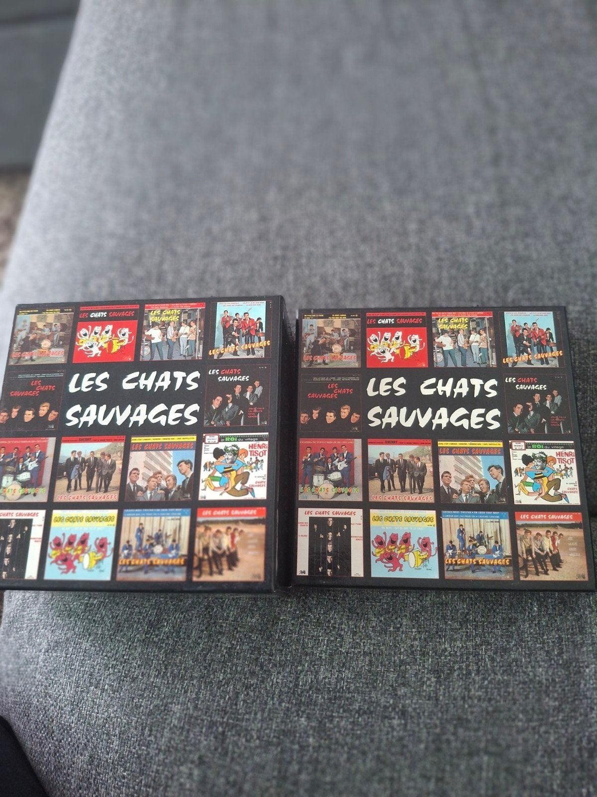 10 cdbox+ 4cd box les chats sauvages, Ophalen of Verzenden
