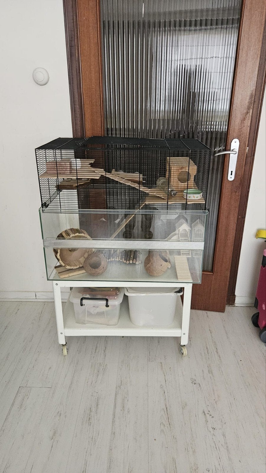 knaagdierkooi — glazen bak/traliedeksel + accessoires, Ophalen, Gebruikt, Kooi