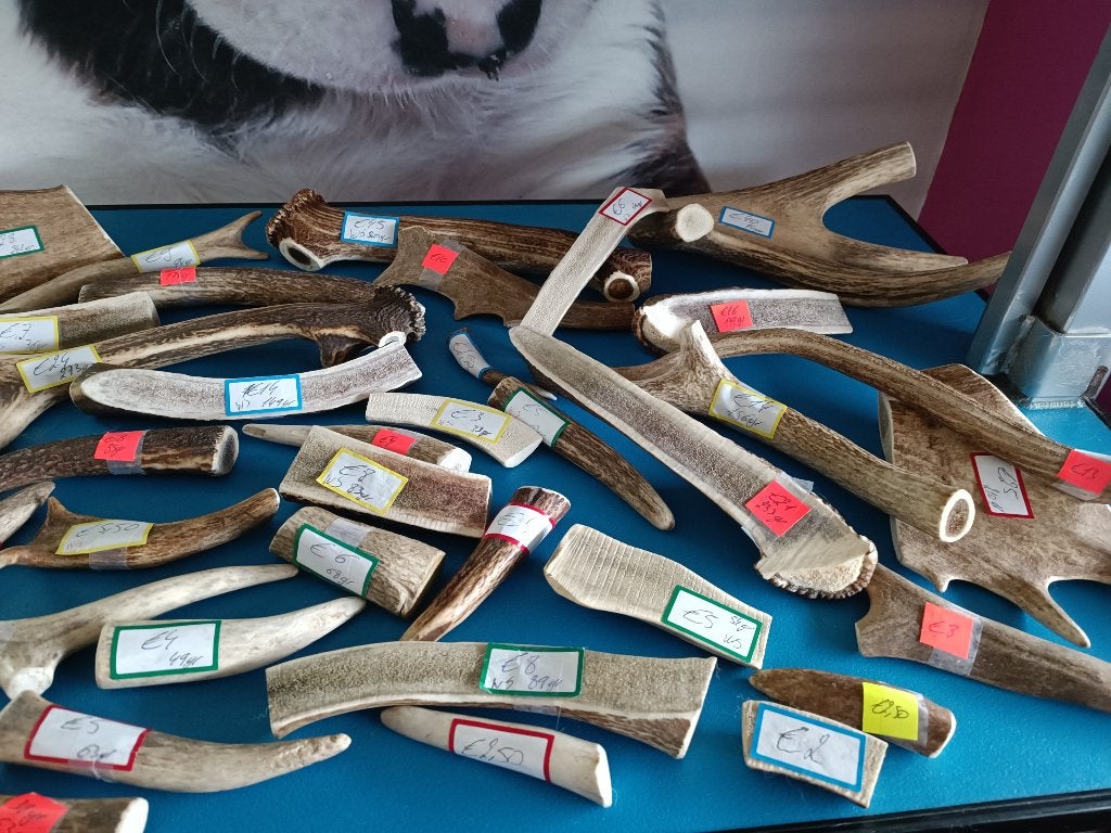 Bois de cerf, Enlèvement ou Envoi, Neuf, Jouet à mâcher, Autres marques