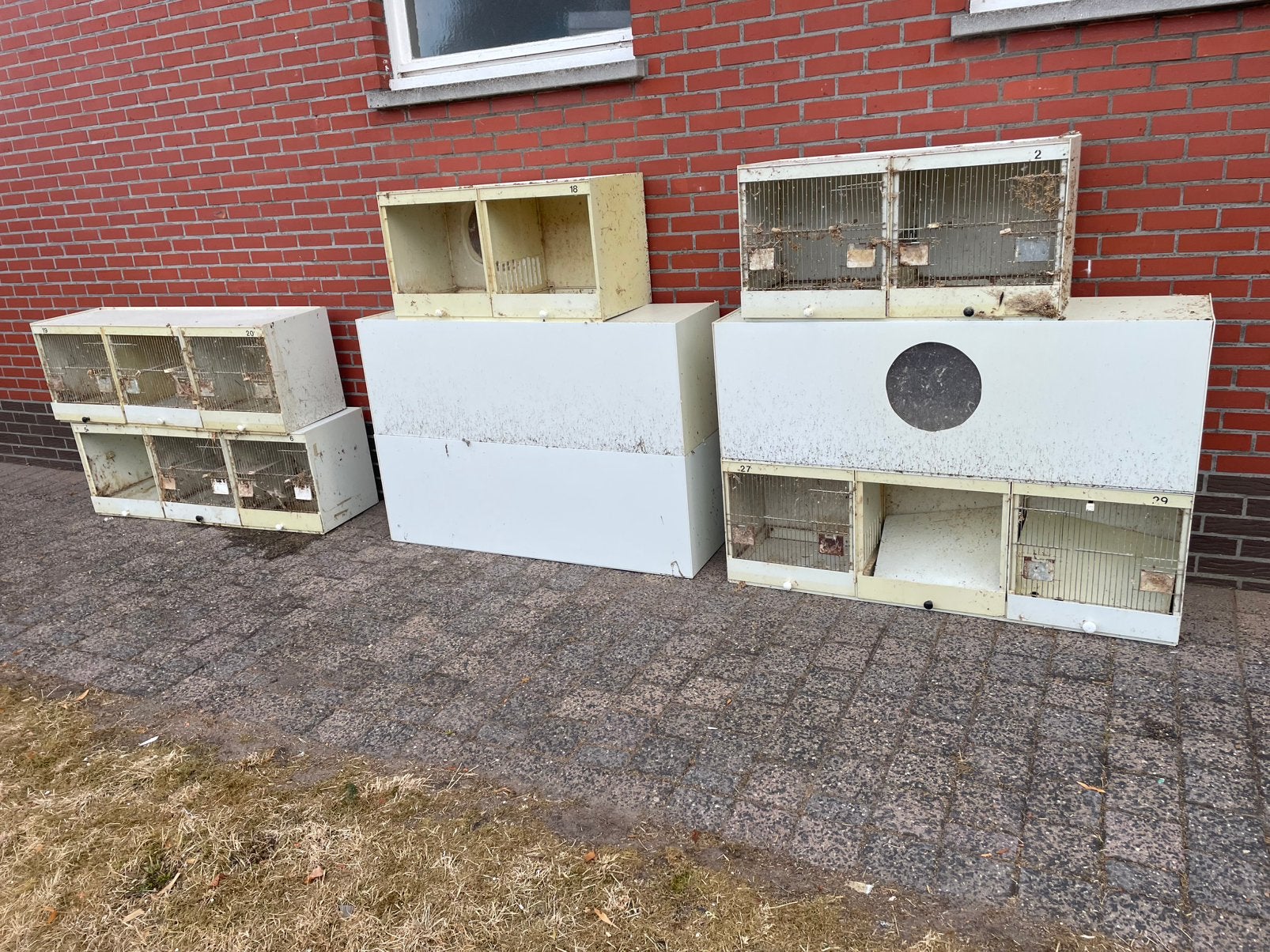 Kweekbakken vogels, Dieren en Toebehoren, Vogels | Hokken en Kooien, Ophalen, Kunststof