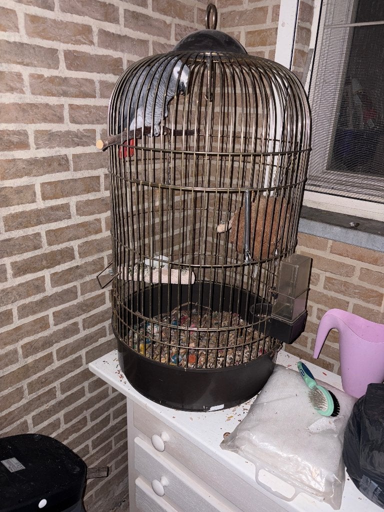 Papegaaienkot, Ophalen, Gebruikt