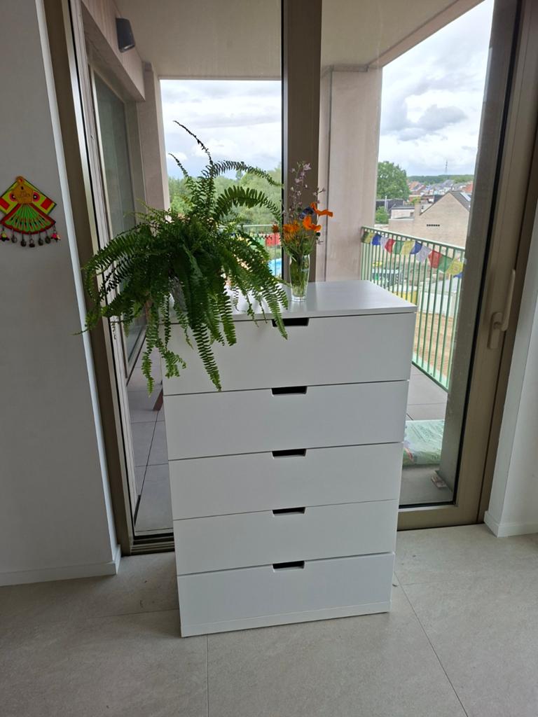 Nordli ladenkast, Maison & Meubles, Enlèvement
