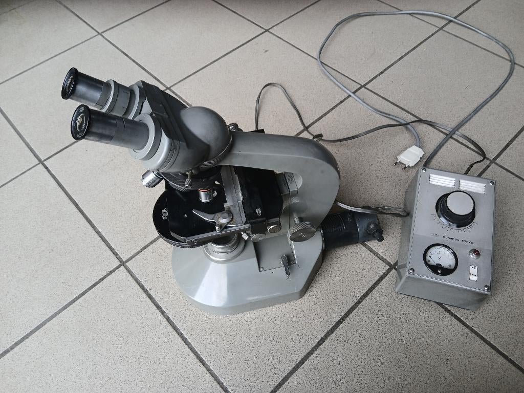 Microscoop, Enlèvement, Utilisé, Microscope Stéréo