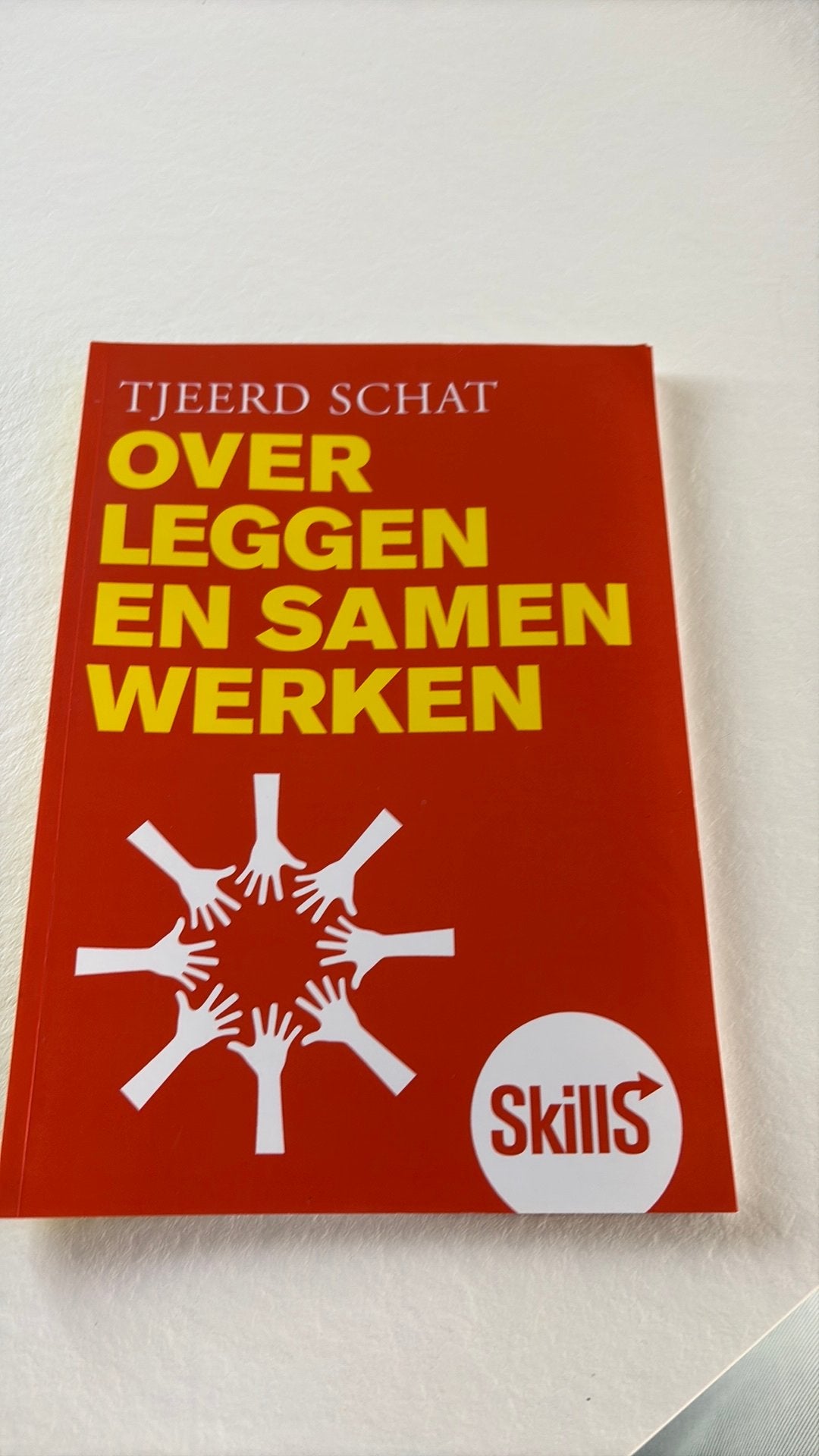 Tjeerd Schat - Skills - Overleggen en samenwerken, Ophalen of Verzenden, Nederlands, Tjeerd Schat