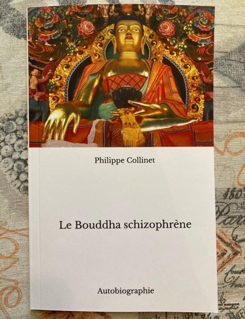 Livre neuf : le Bouddha schizophrène, Livres, Envoi, Neuf, Philippe Collinet