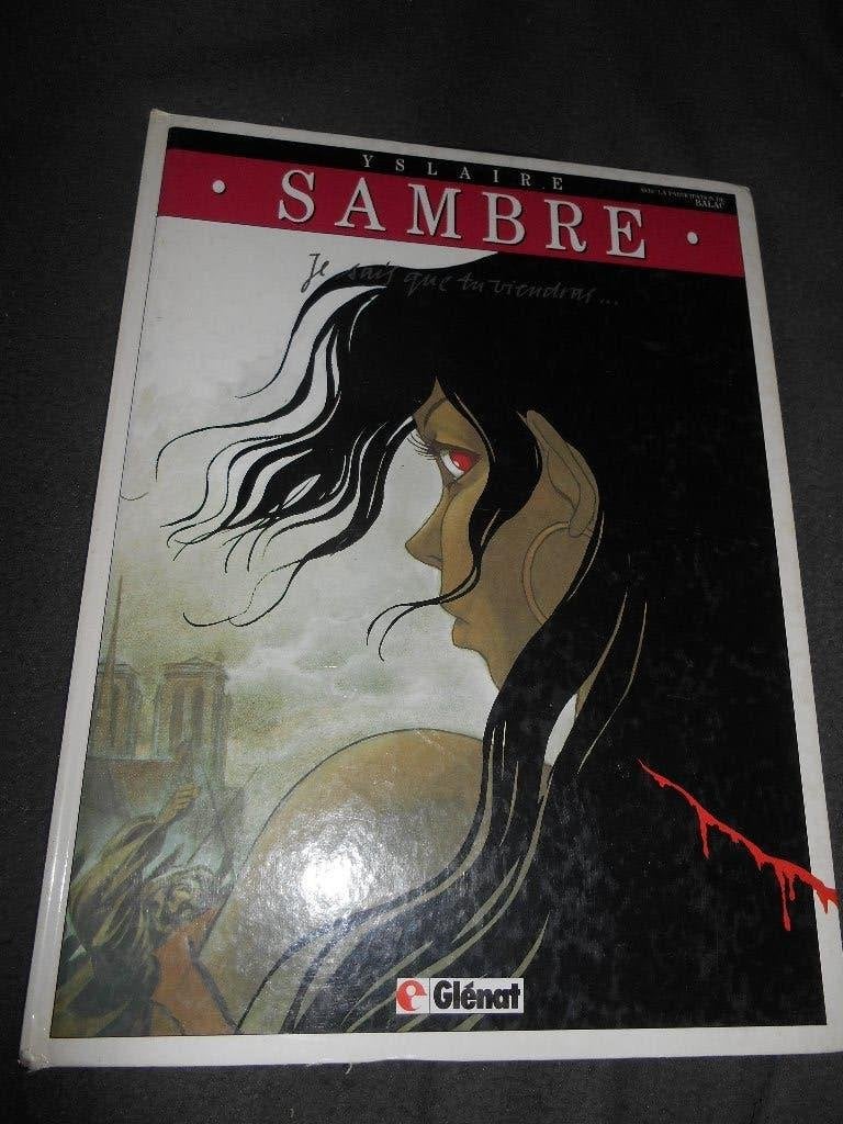 SAMBRE 2 " je sais que tu viendras", Livres, Enlèvement ou Envoi