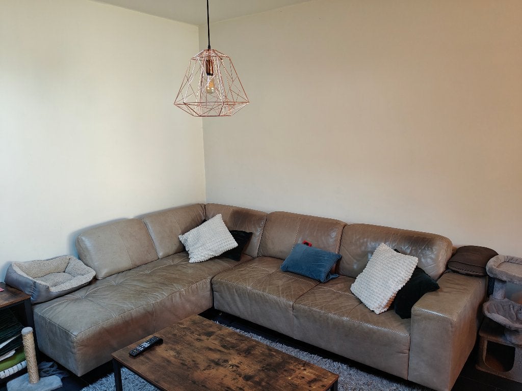 Canapé chaise longue, Quatre personnes ou plus, Enlèvement, Utilisé, Cuir