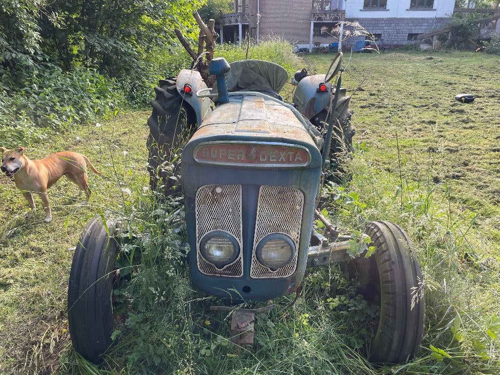 Fordson Super Dexta 09C (1963) - Signé J. Thomas - Papiers, Articles professionnels, Enlèvement ou Envoi