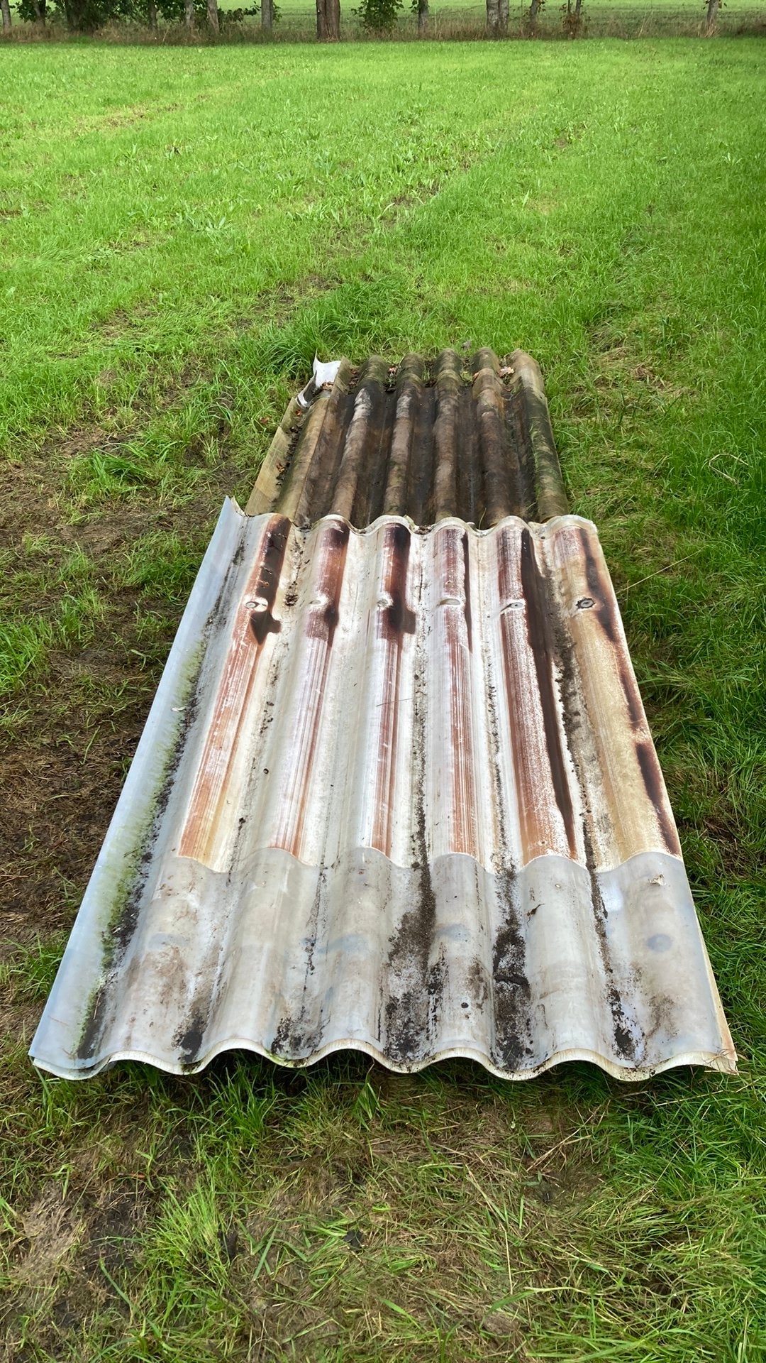Lichtstraat golfplaten, Doe-het-zelf en Bouw, Ophalen, Gebruikt, Kunststof, Golfplaat