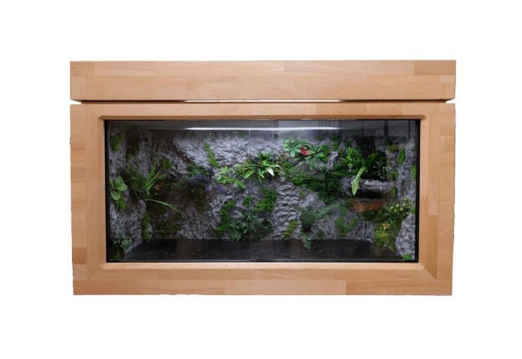 Vivarium en bois de hêtre avec décoration, Dieren en Toebehoren, Ophalen, Zo goed als nieuw