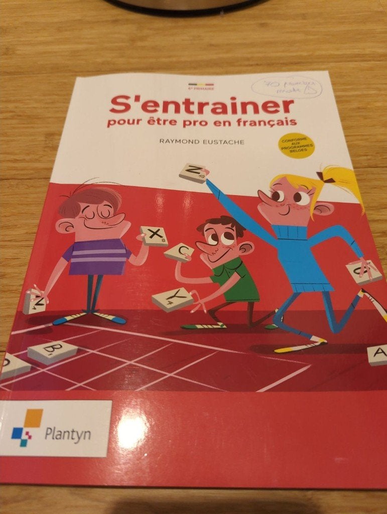 S'entrainer pour être pro en français - 6e primaire, Livres, Enlèvement, Utilisé, Primaire, Français