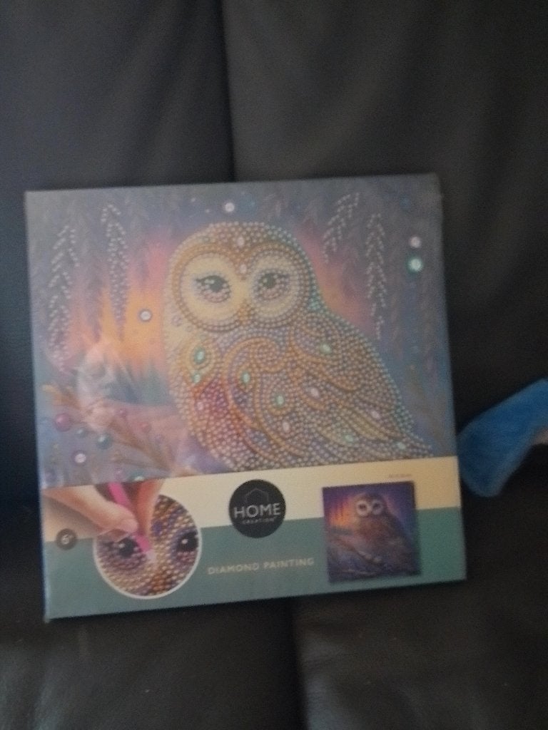 2 diamant paintings, Ophalen, Nieuw, Meerkleurig, Overige materialen