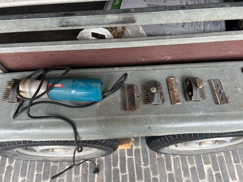 tanddeuze, Dieren en Toebehoren, Juni, Mannelijk