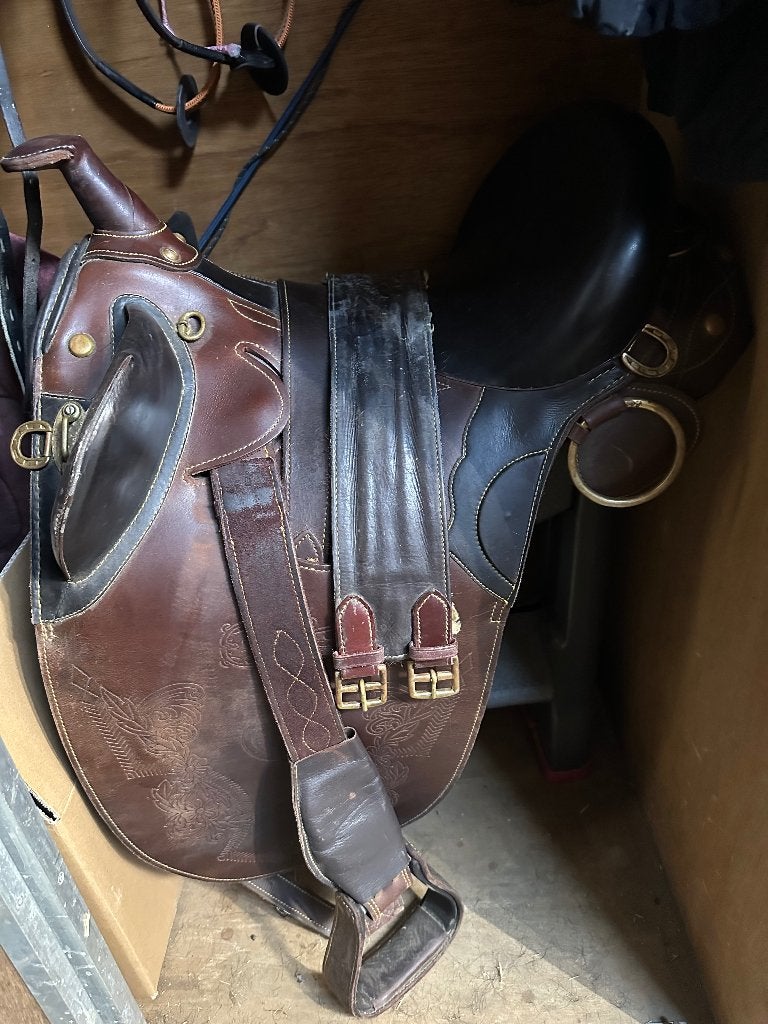 Australisch stockzadel, Animaux & Accessoires, Chevaux & Poneys | Selles, Récréation, XL (18 pouces ou plus), Enlèvement, Utilisé
