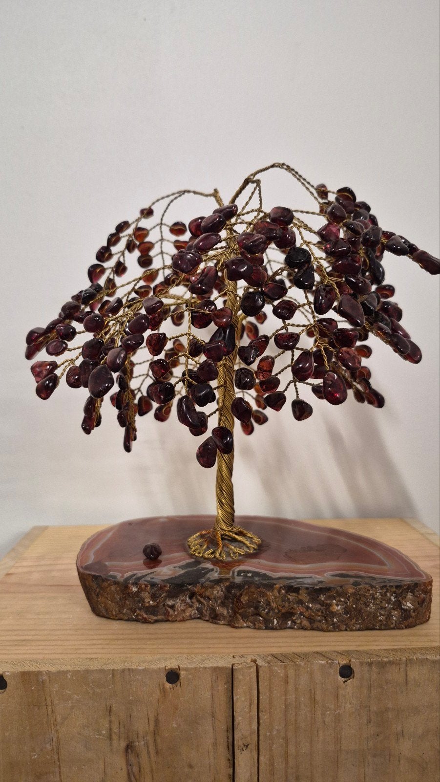 arbre de vie, Enlèvement