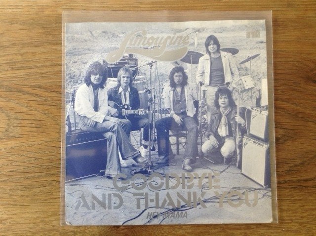 single limousine, 7 inch, Ophalen of Verzenden, Fotohoes, Rock en Metal