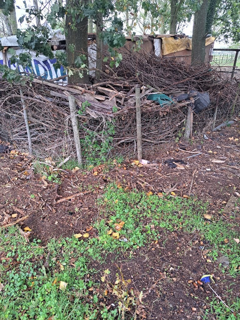 dunne takken hout aanmaak hout gratis, Tuin en Terras, Minder dan 3 m³, Ophalen, Overige houtsoorten, Takken